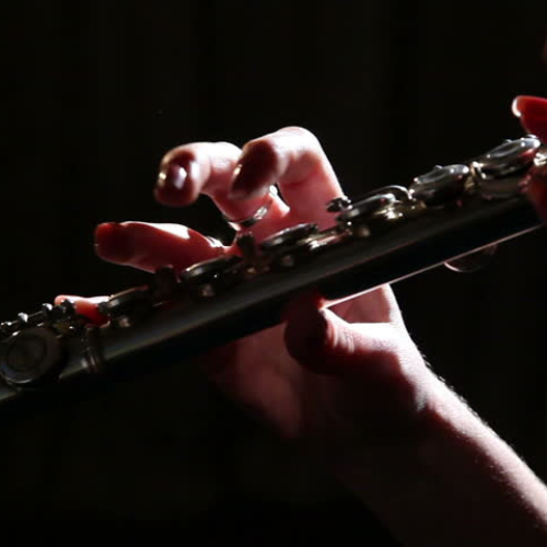 Advanced Flute Techniques: A Guide to Improving Your Tone, Technique & Expression