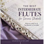 best intermediate flute for serious students