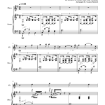 The Rainbow Connection Flute Piano