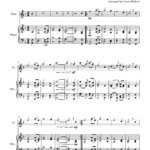 beginner flute solo of Amazing Grace